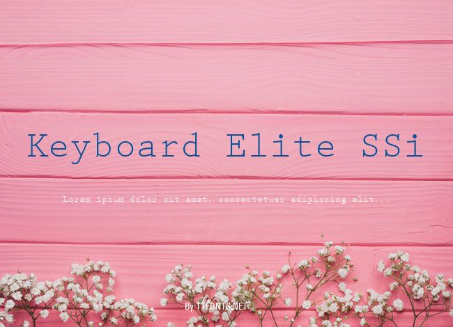 Keyboard Elite SSi example